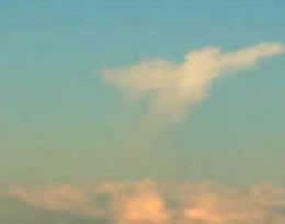 Wholistic World Vision charter and object